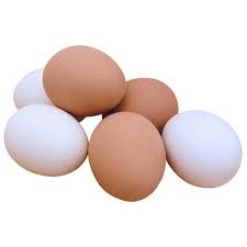 Buy White and Brown Chicken Eggs