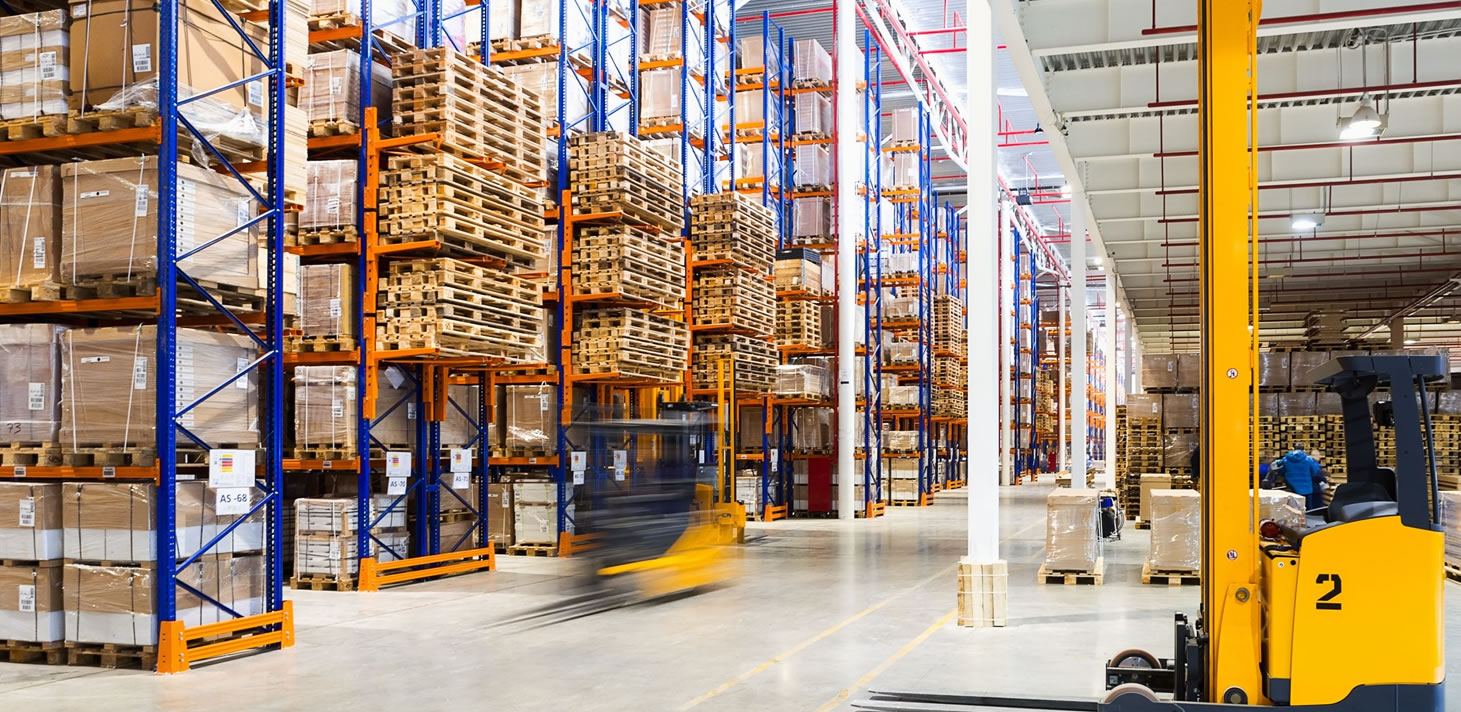 Teoflor Sociedade Agrícola Lda - warehouse